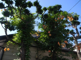 R0017901
