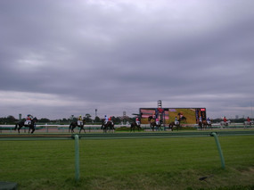 R0018445