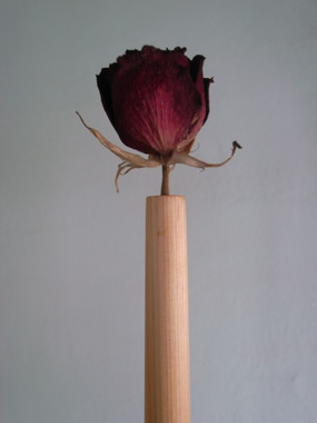 R0019300