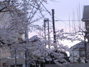 R0020507