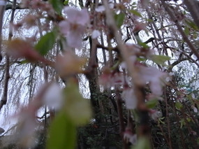 R0020601