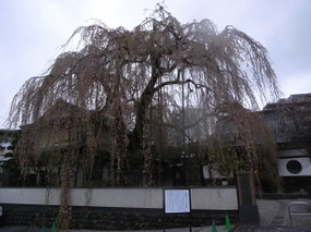 R0020605