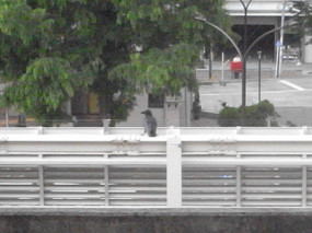 R0021824