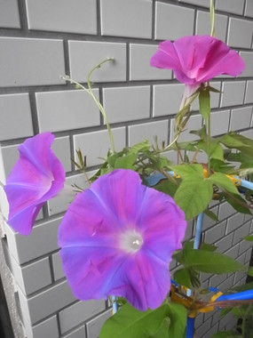 R0021831