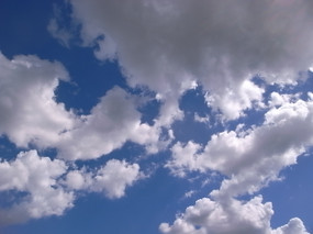 R0022035