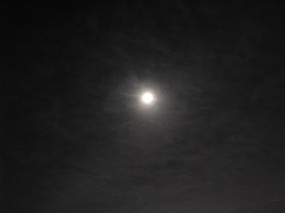 R0022267