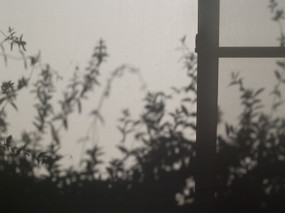 R0022951