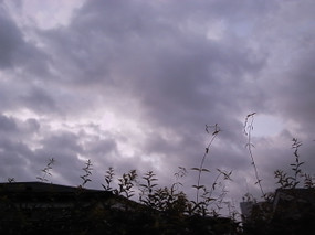 R0022953
