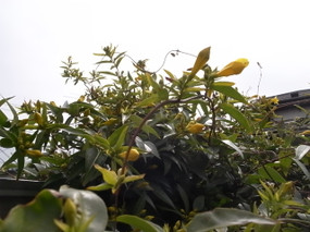 R0024089