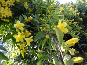 R0024238