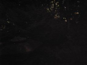 R0025131