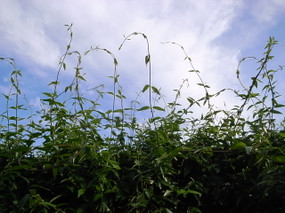 R0025320