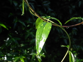 R0025337