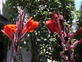 R0025556