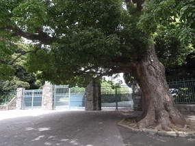 R0025719