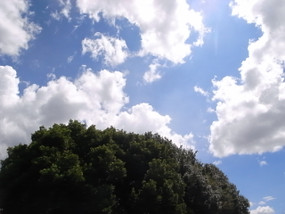 R0025882_2