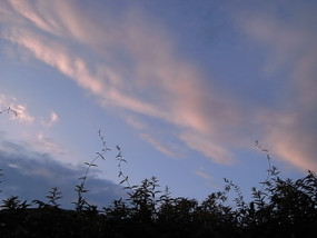 R0027154