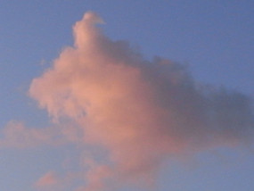 R0027203