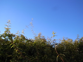 R0027354