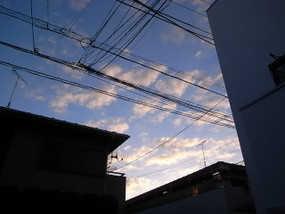 R0027356