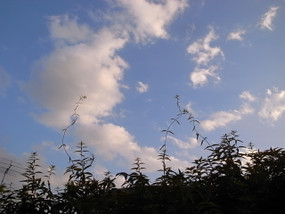 R0027386