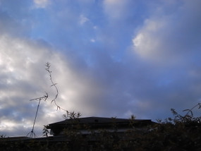 R0027808