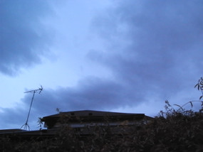 R0028168_2 R0028168_2