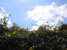 R0028506