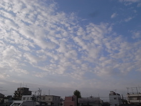 R0028627