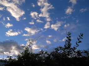 R0029918
