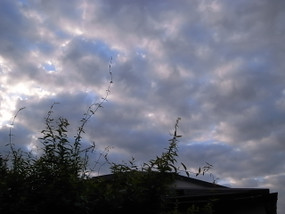 R0029961