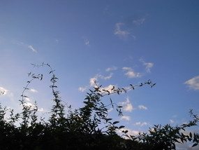 R0030001