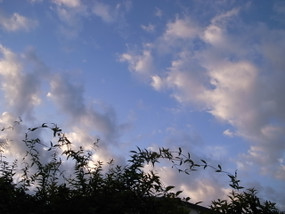 R0030190