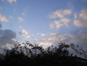 R0030412