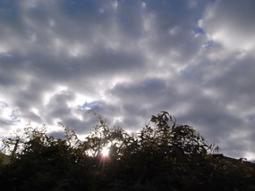 R0030607
