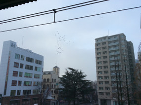 160308
