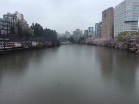 160407