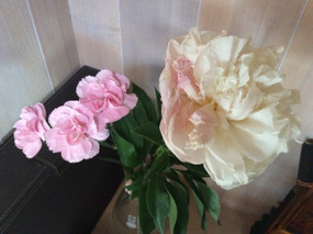 30